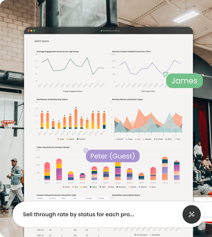 Ticketing and premium sales analytics dashboard